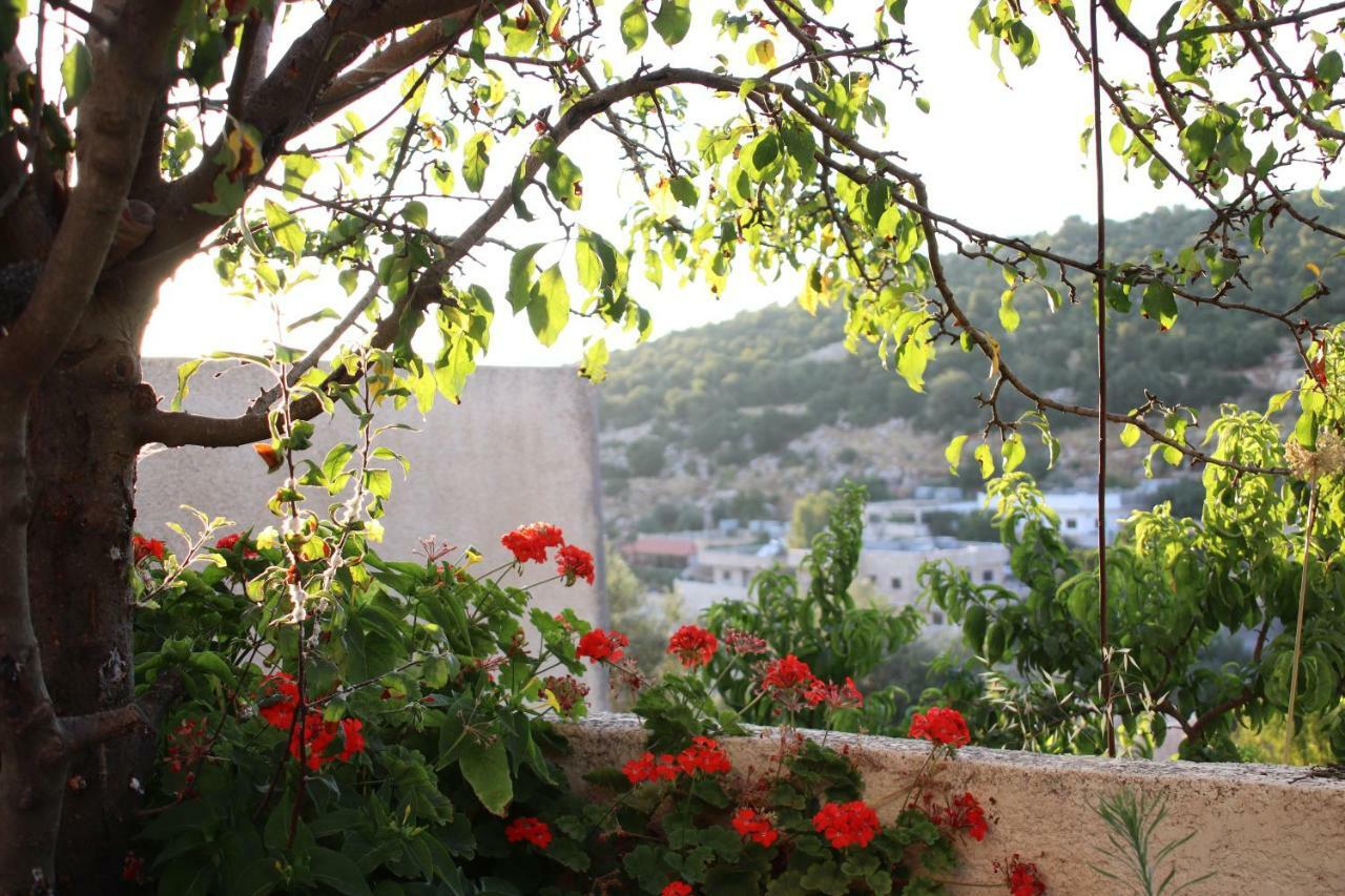 Ajloun Mihna guest house Extérieur photo