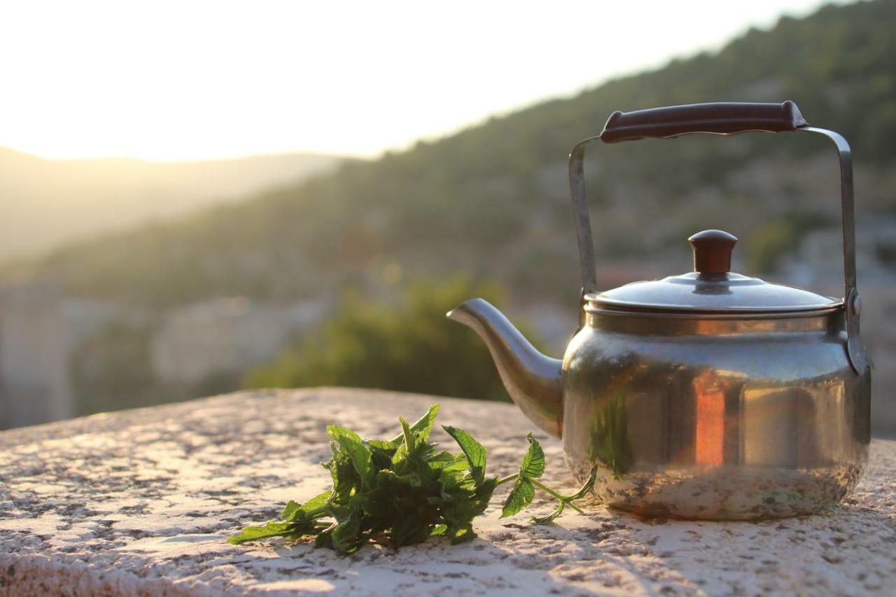 Ajloun Mihna guest house Extérieur photo